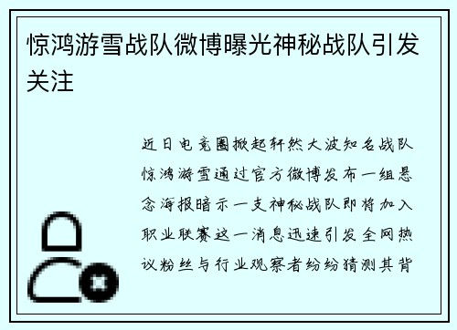 惊鸿游雪战队微博曝光神秘战队引发关注