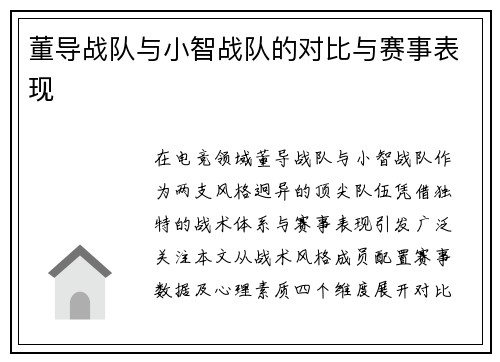 董导战队与小智战队的对比与赛事表现