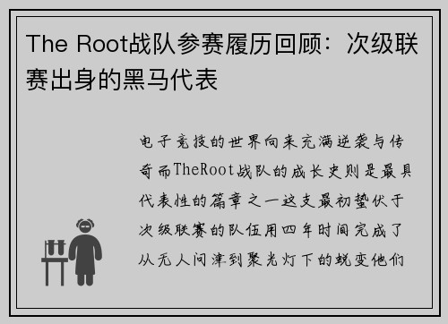 The Root战队参赛履历回顾：次级联赛出身的黑马代表
