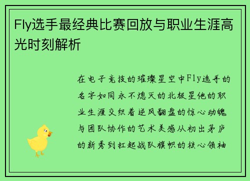 Fly选手最经典比赛回放与职业生涯高光时刻解析